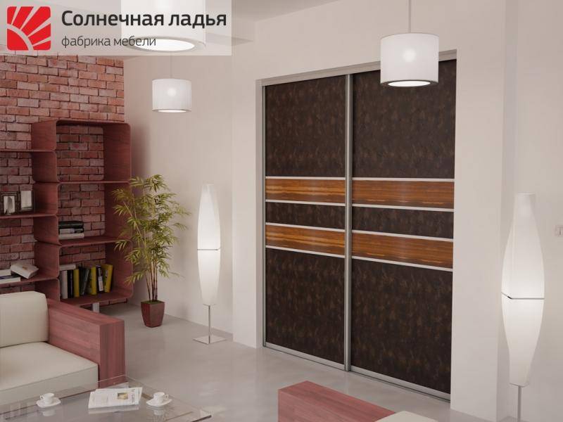 шкаф - купе для гостиной 17 в Нижнекамске