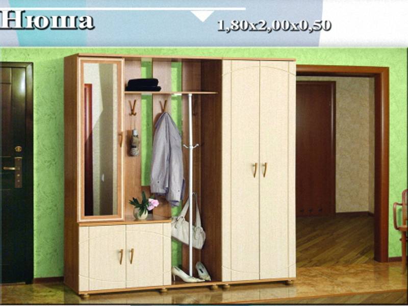 прихожая «нюша» в Нижнекамске