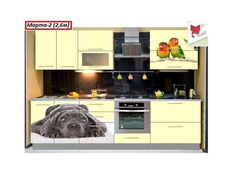 кухня прямая марта 2 в Нижнекамске