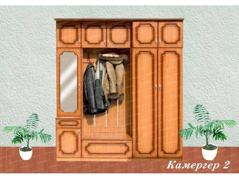 прихожая камергер 2 в Нижнекамске