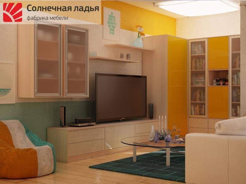 шкаф - купе для гостиной 15 в Нижнекамске