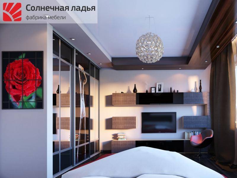 шкаф - купе фотопечать 9 в Нижнекамске