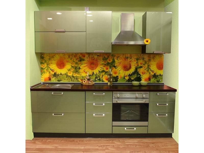 крашенная кухня тефида в Нижнекамске