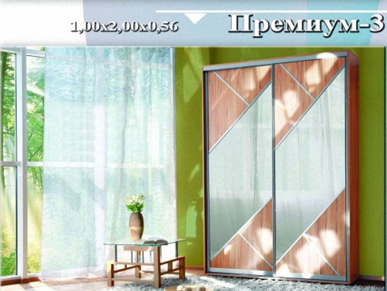 шкаф-купе «премиум 3» в Нижнекамске