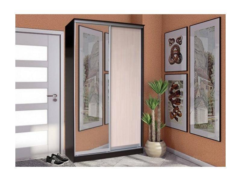 шкаф-купе 2 створки с зеркалом стандарт в Нижнекамске