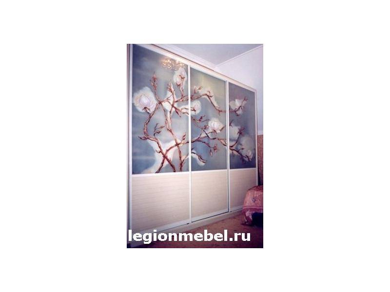 шкаф-купе с фотопечатью в Нижнекамске