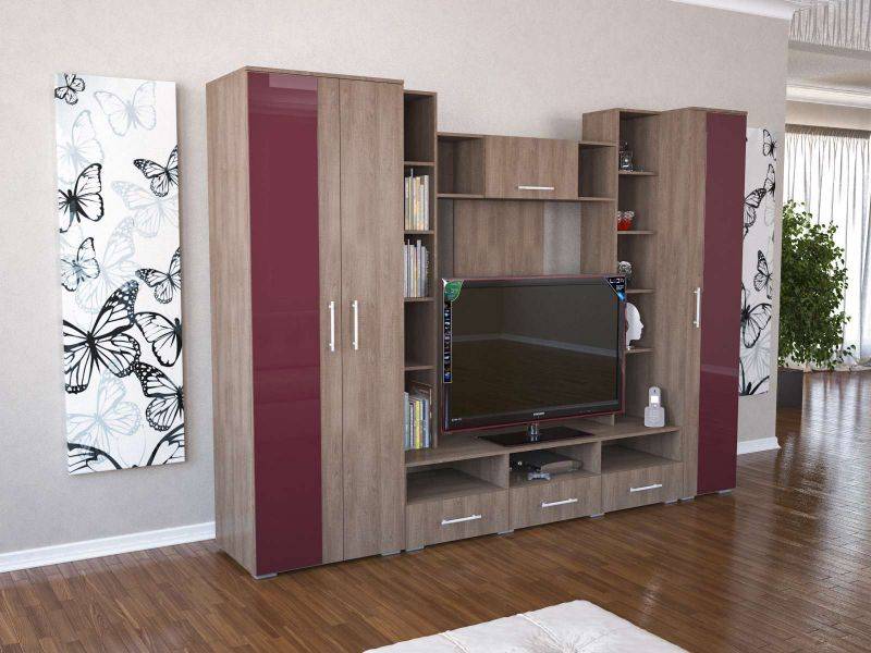 гостиная вега ral 3003 в Нижнекамске