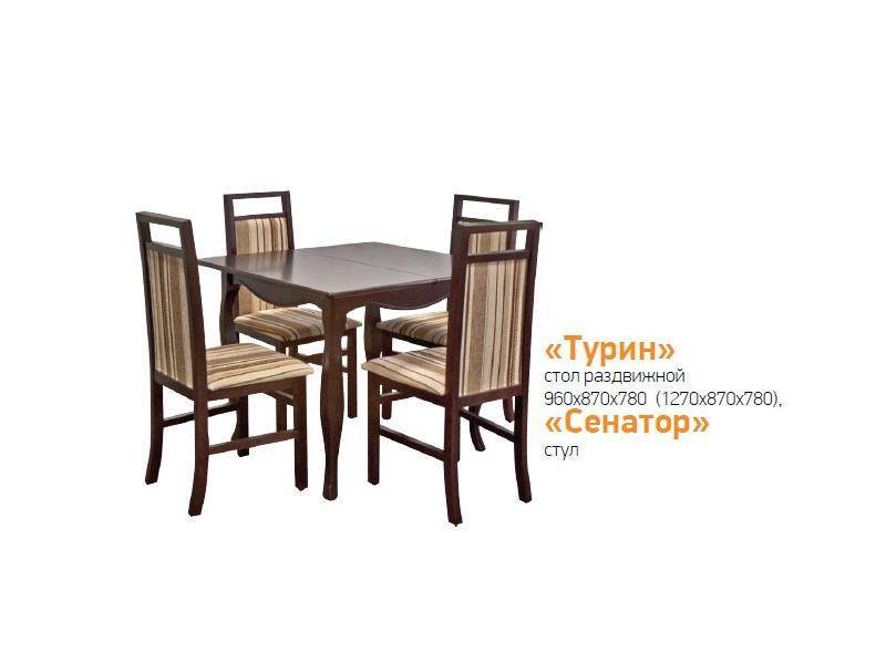 стол обеденный турин в Нижнекамске