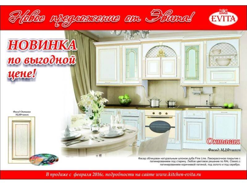 кухня прямая октавия в Нижнекамске