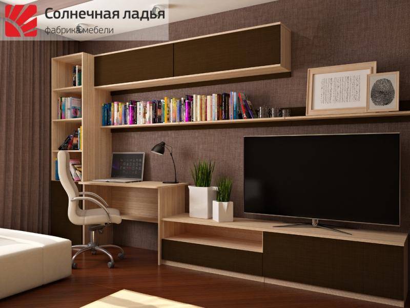 шкаф - купе для гостиной 13 в Нижнекамске