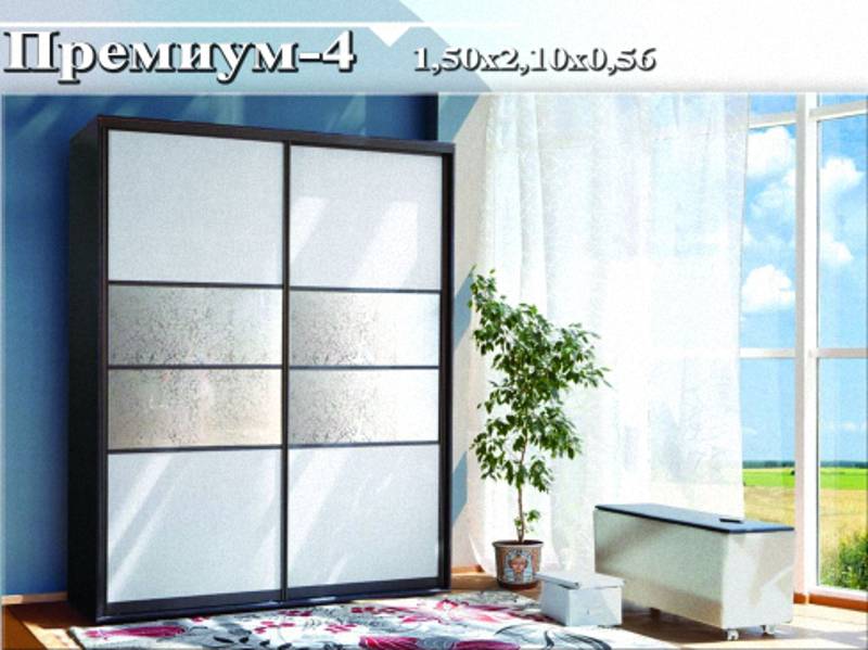 шкаф-купе «премиум 4» в Нижнекамске