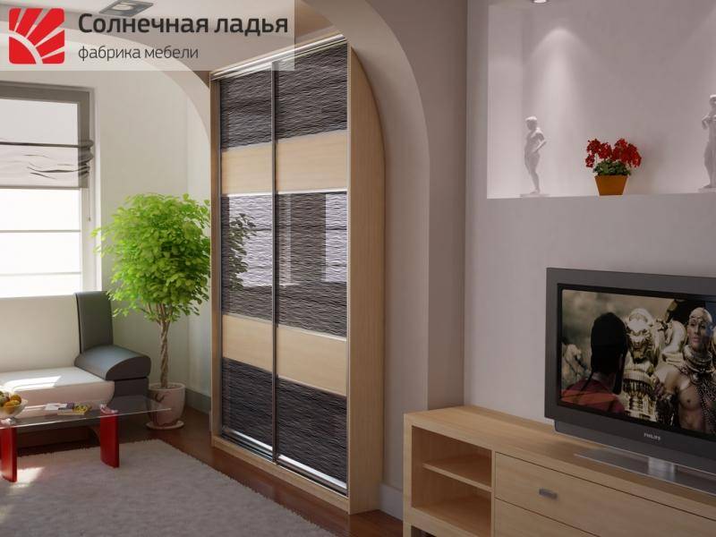 шкаф - купе для гостиной 19 в Нижнекамске