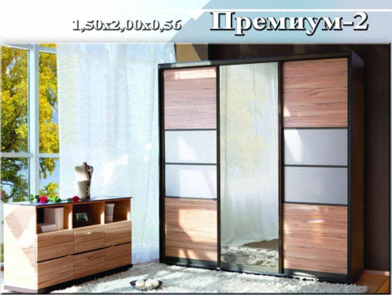 шкаф-купе «премиум 2» в Нижнекамске
