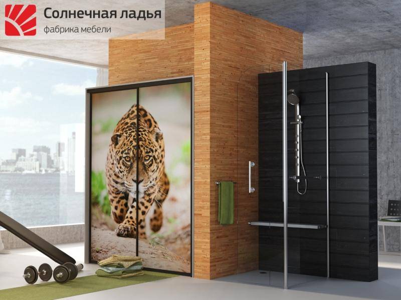 шкаф - купе фотопечать 4 в Нижнекамске