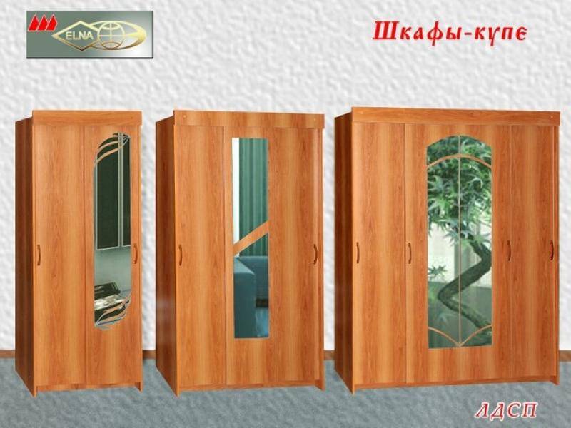 шкаф-купе лдсп (топ-лайн) в Нижнекамске