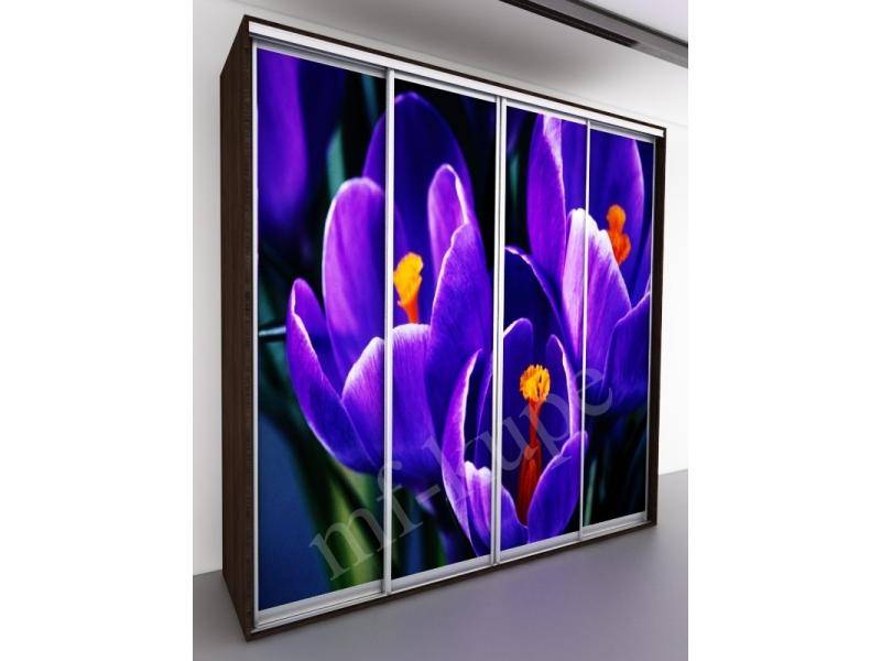 шкаф-купе бергамо violet 4 в Нижнекамске