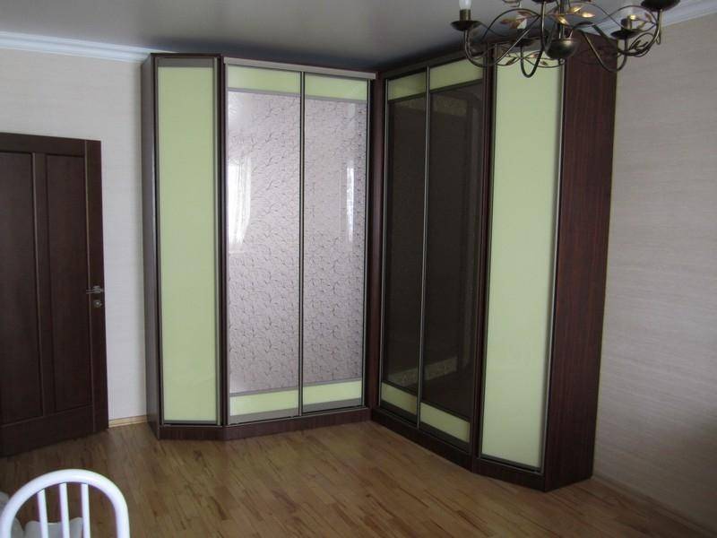 шкаф-купе с фасадами из пластика софия 1 в Нижнекамске
