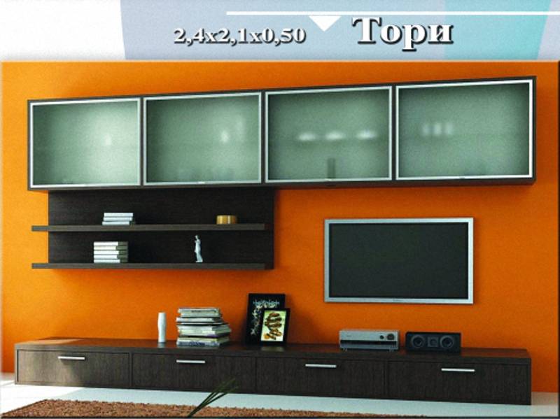 стенка «тори» в Нижнекамске