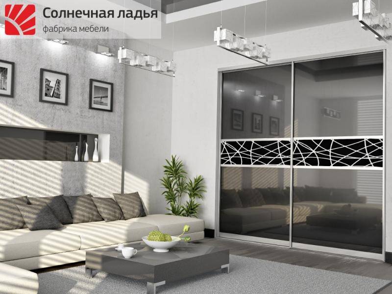 шкаф - купе для гостиной 10 в Нижнекамске