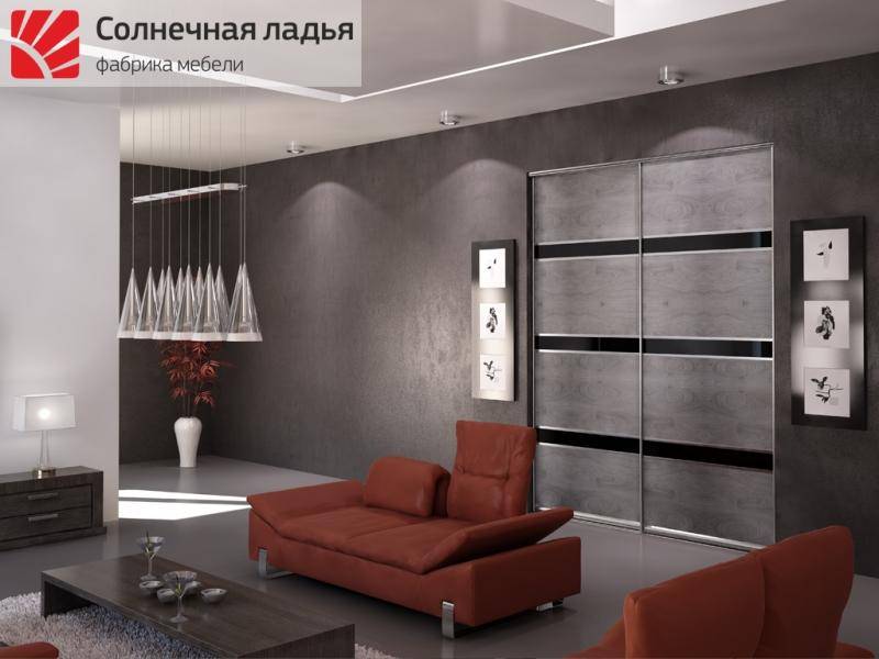 шкаф - купе для гостиной 18 в Нижнекамске