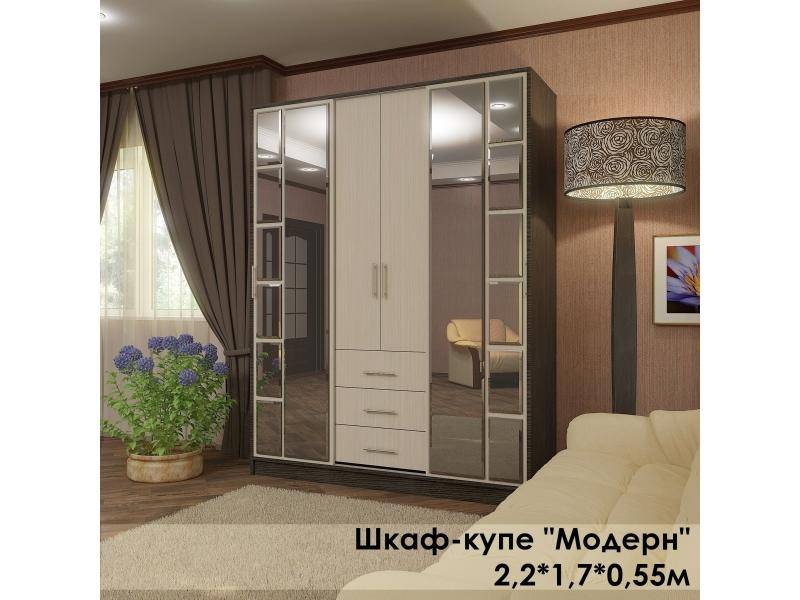 шкаф-купе в стиле модерн в Нижнекамске