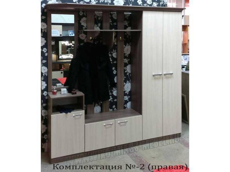 прихожая комплектация №2 в Нижнекамске