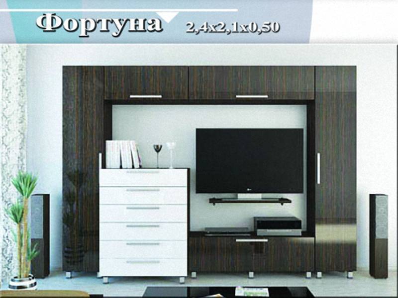 гостиная-стенка «фортуна» в Нижнекамске