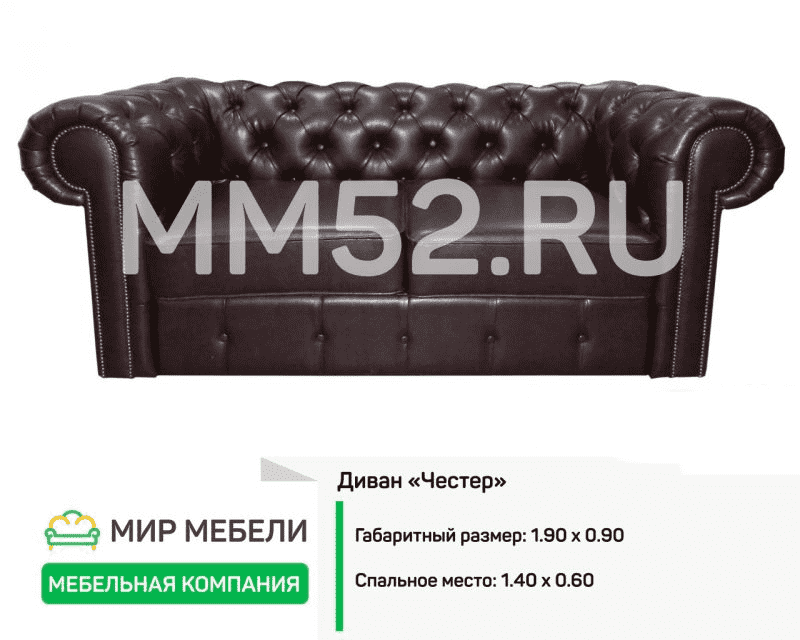 кожаный диван честер в Нижнекамске