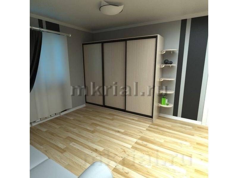 простой шкаф-купе с полками вариант 8 в Нижнекамске