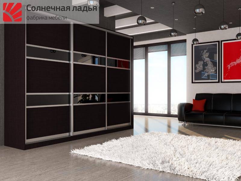 шкаф - купе для гостиной 5 в Нижнекамске