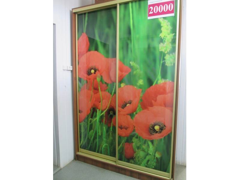 шкаф-купе 00002 в Нижнекамске