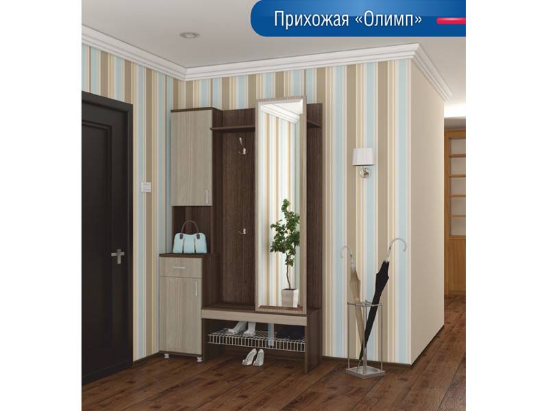 прихожая олимп в Нижнекамске