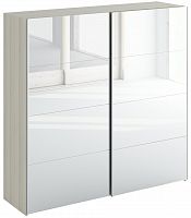 шкаф-купе slide 2230 зеркальный в Нижнекамске