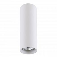 потолочный светильник lightstar rullo 214496 в Нижнекамске