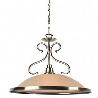 подвесной светильник arte lamp safari a6905sp-1ab в Нижнекамске