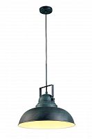 подвесной светильник arte lamp martin a5213sp-1bg в Нижнекамске