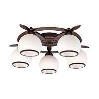 потолочная люстра omnilux oml-50507-05 в Нижнекамске