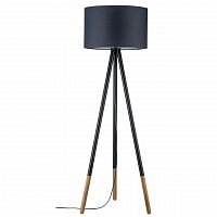 торшер paulmann rurik 79633 в Нижнекамске