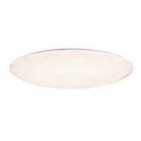 потолочный светодиодный светильник omnilux ice crystal oml-47217-80 в Нижнекамске