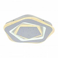 потолочный светодиодный светильник f-promo ledolution 2281-5c в Нижнекамске