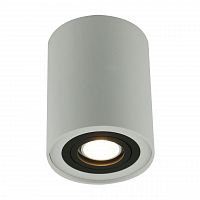 потолочный светильник arte lamp a5644pl-1wh в Нижнекамске
