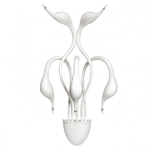 бра lightstar cigno collo wt 751656 в Нижнекамске