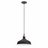 подвесной светильник эра loft pl2 bk/rc в Нижнекамске