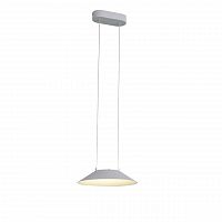 подвесной светодиодный светильник st luce pitto sl427.503.01 в Нижнекамске