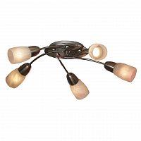 потолочная люстра lussole cevedale grlsq-6907-05 в Нижнекамске