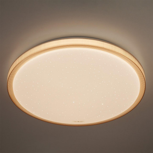 потолочный светодиодный светильник eurosvet sandy 40015/1 led кофе в Нижнекамске