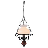 подвесной светильник arte lamp galata a3030sp-1br в Нижнекамске
