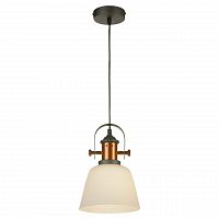подвесной светильник lussole loft lsp-9846 в Нижнекамске