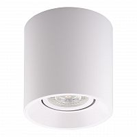 потолочный светильник denkirs dk3040-wh в Нижнекамске