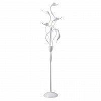 торшер lightstar cigno collo wt 751766 в Нижнекамске